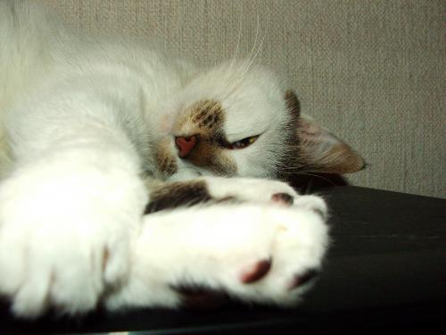 Wpis milla
