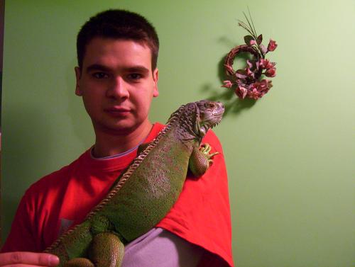 Wpis michal28