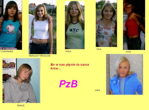 Wpis pzbprzyjaciolkinazawsze