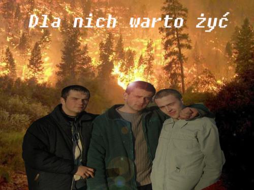 Wpis koleczek