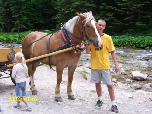 Wpis bartek15