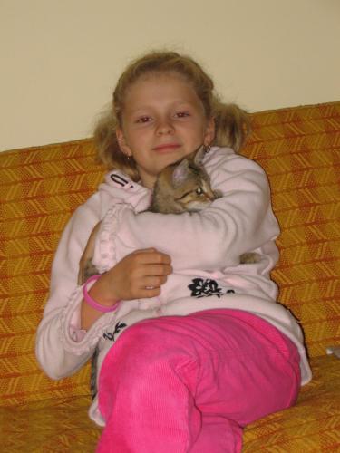Wpis siwa95