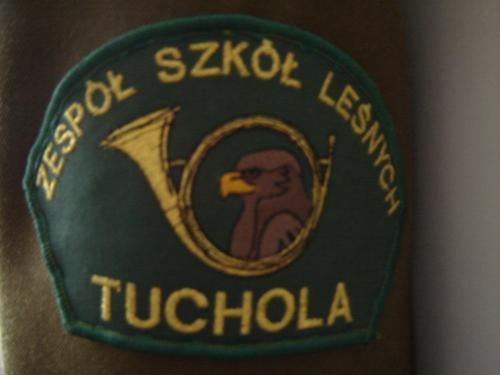 Wpis lesiony