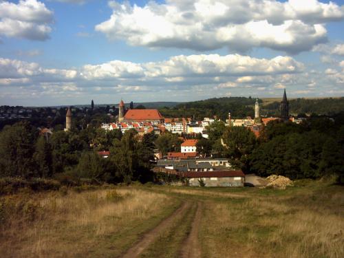 Wpis przemoss