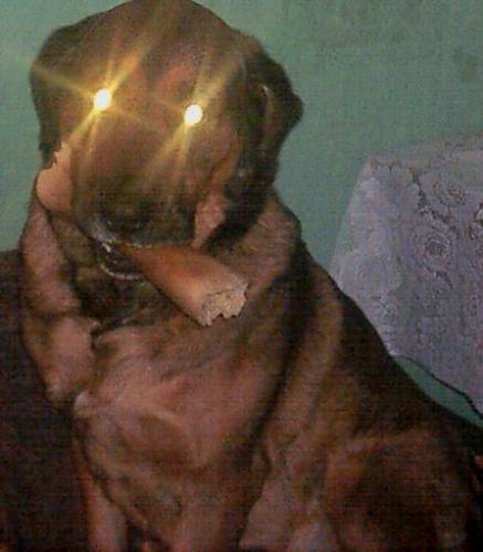 Wpis 2tupac2