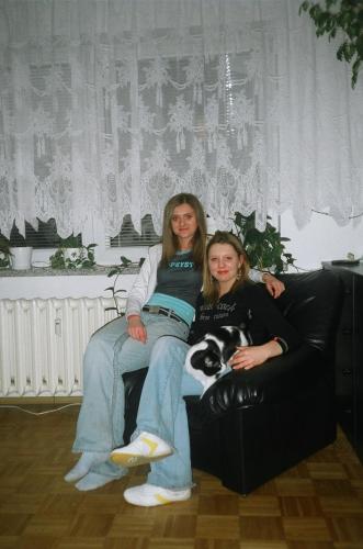 Wpis domyika