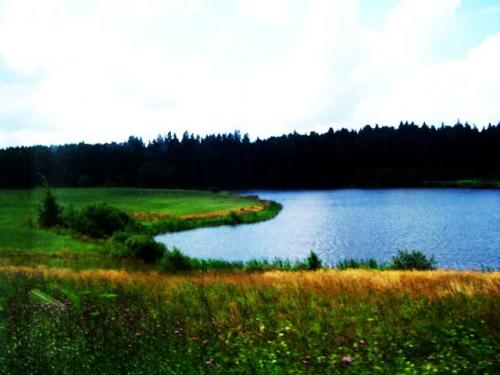 Wpis malgoskabp