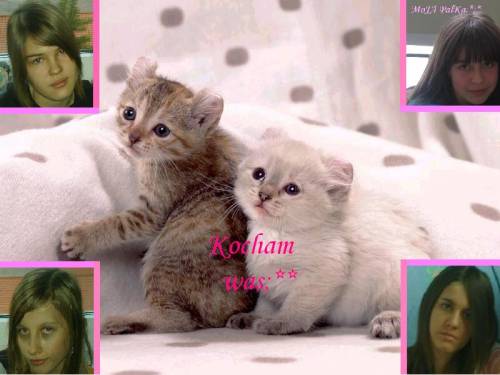 My friends:*:*:*:*
