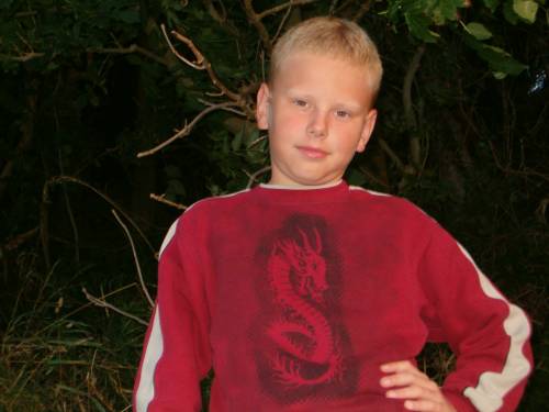 Wpis davidek