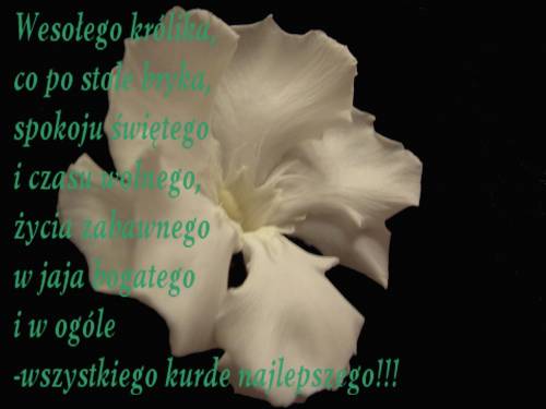 Wpis anusiunia