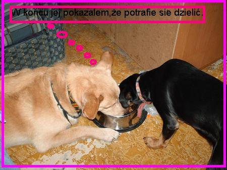 Misiu i Sonia 