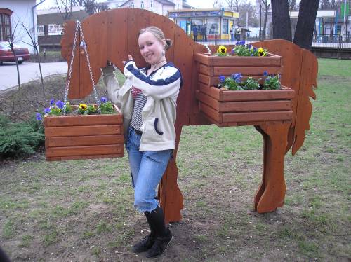 Konik :P