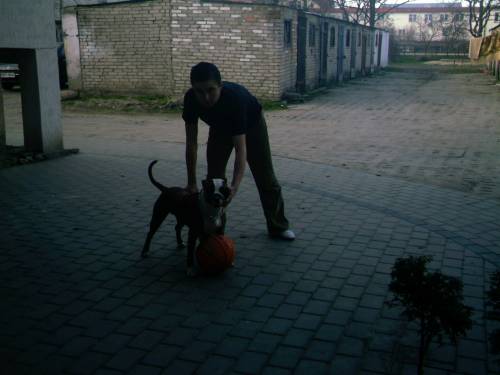 Wpis streetbasket
