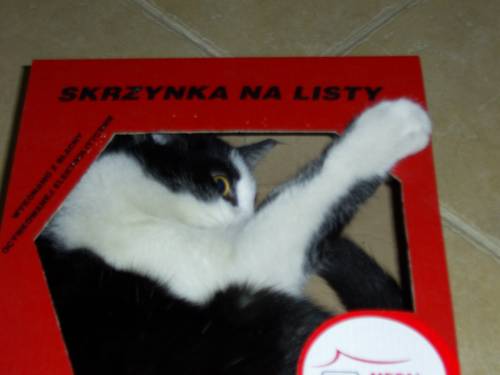 \'Skrzynka na listy\'