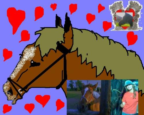 I LoVe HoRsE :DD