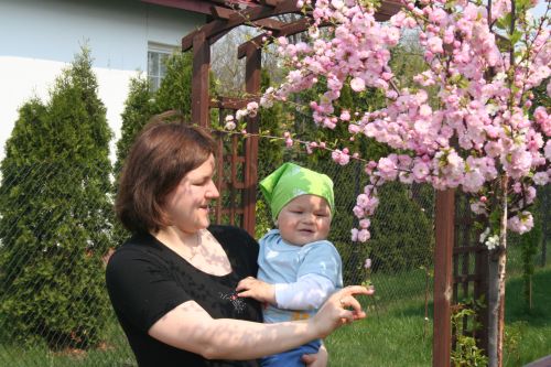 Wpis wiktorekjasko