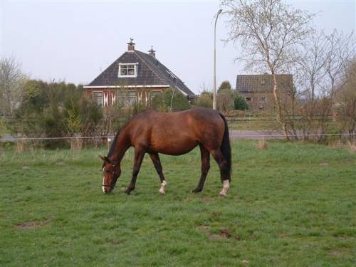 Asrid :)