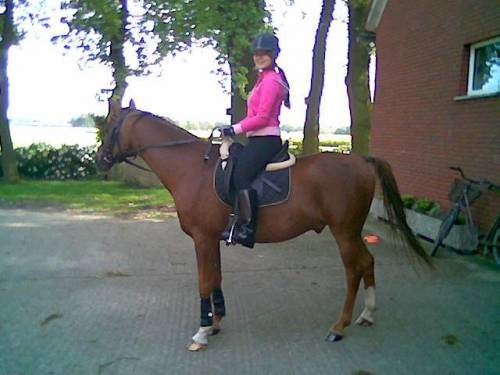 Ja na Fallco :**: