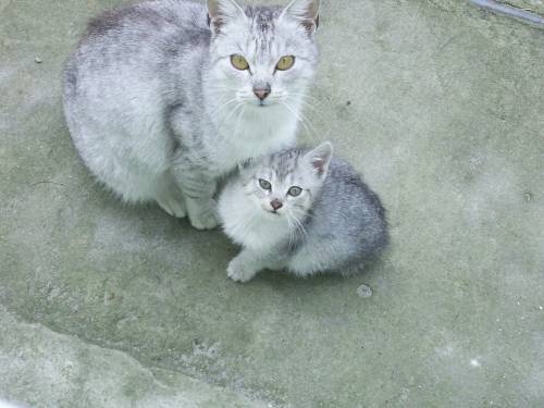 Mama i syn...
