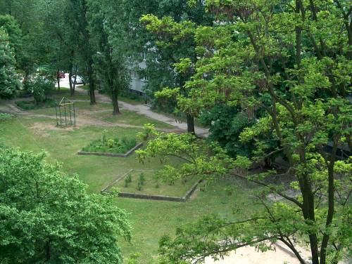 Oknowy widok;]