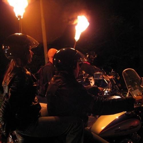 Born to be Wild
