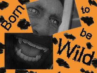 Born to be wild. 