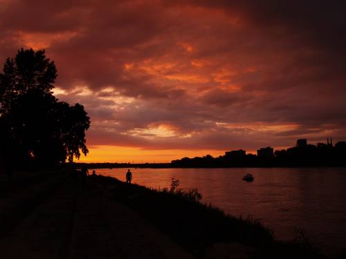 rubinowa wisla