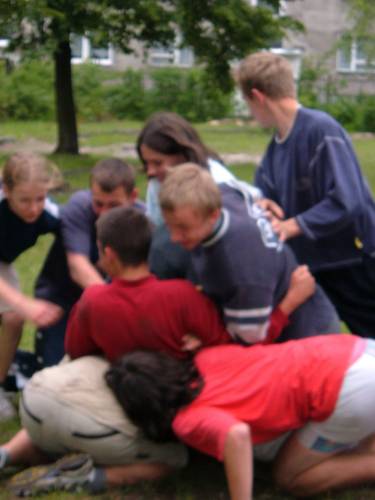 Wpis chujniamalinowa