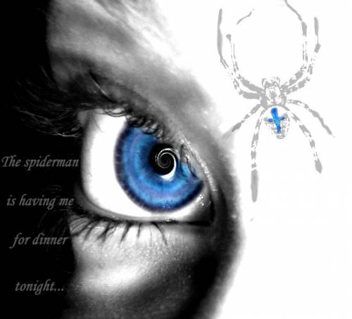 spider...