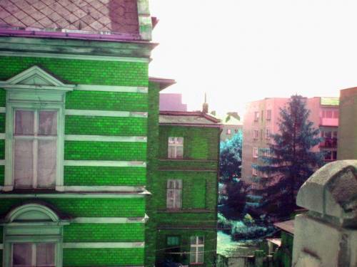 Wpis effuleniunka