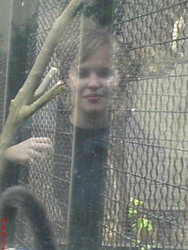 zoo(loka)