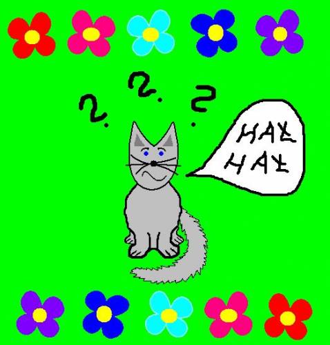 HA HA hehhe 