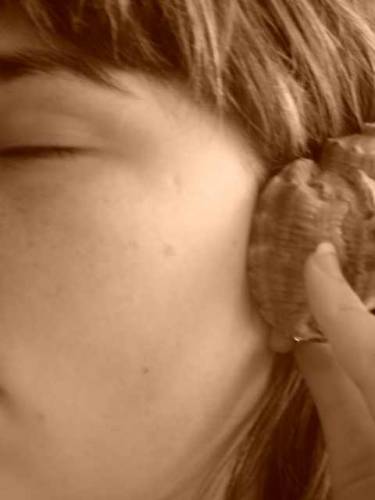 Shell
