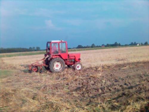 ...praca w polu:)