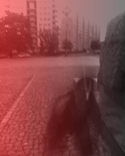 Wpis twarzniepojeta