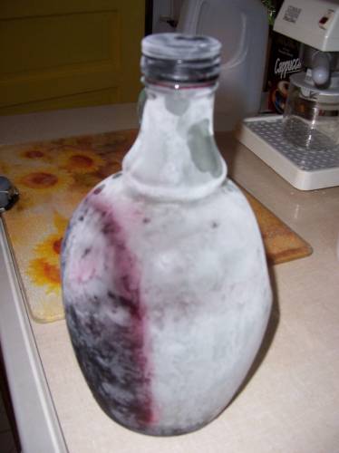 Wino...