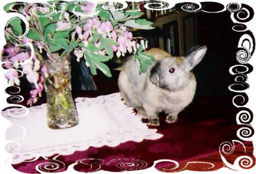 Tuptus:))))))))))))))))