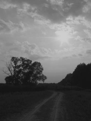 ...dotkn nieba