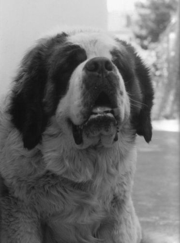 In loving memory...
