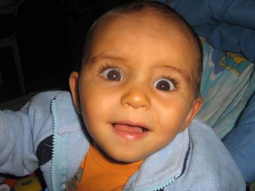 FRANEK ;***
