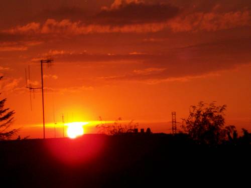 Black Sunshine