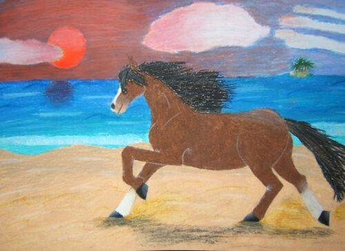 Konik;)