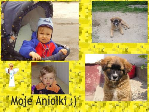 ...::::Anioki::::...