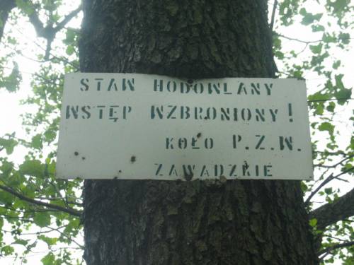poczciwa metropolila ;)