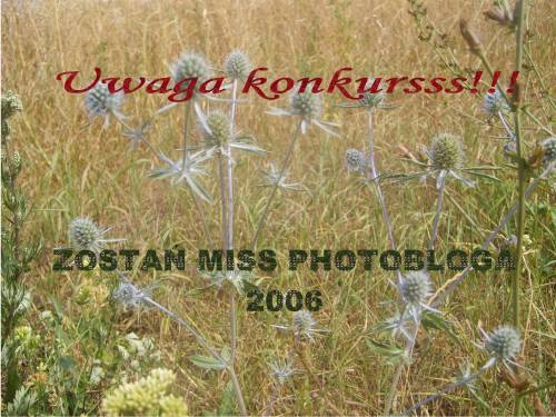 MISS-KONKURS!!