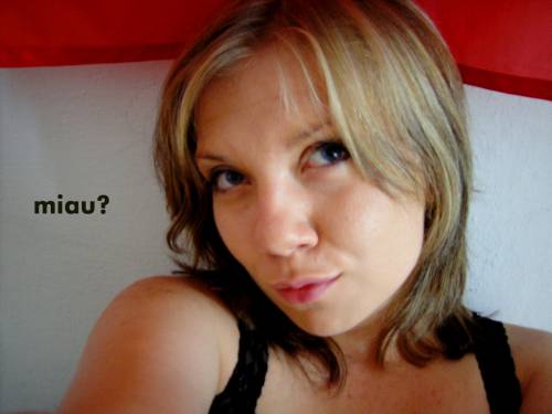 Miau czy mru?