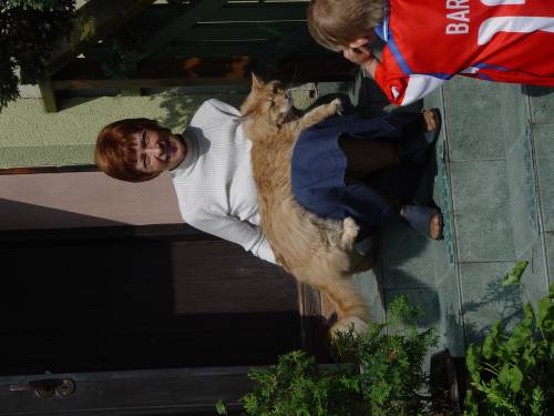 Wpis luckycat