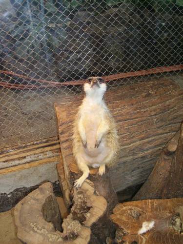 w zoo:)