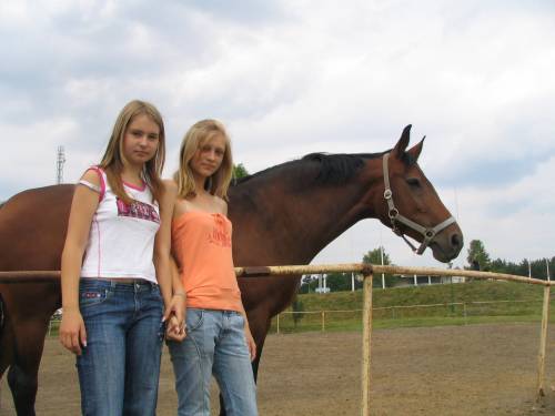 ... My i konik :D ...