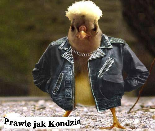 Wpis prawie0jak0blog